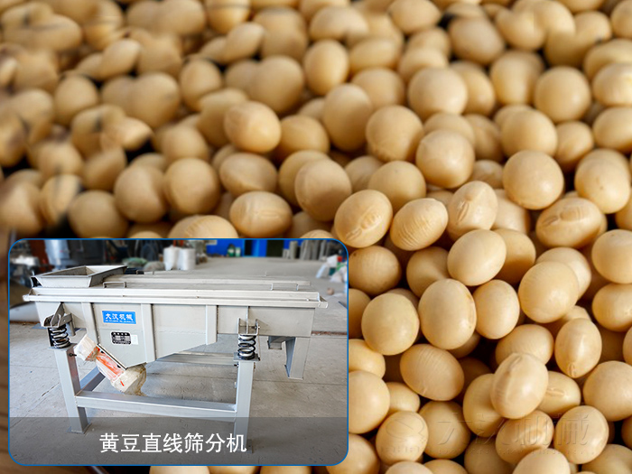 大豆泡芙段视频分机