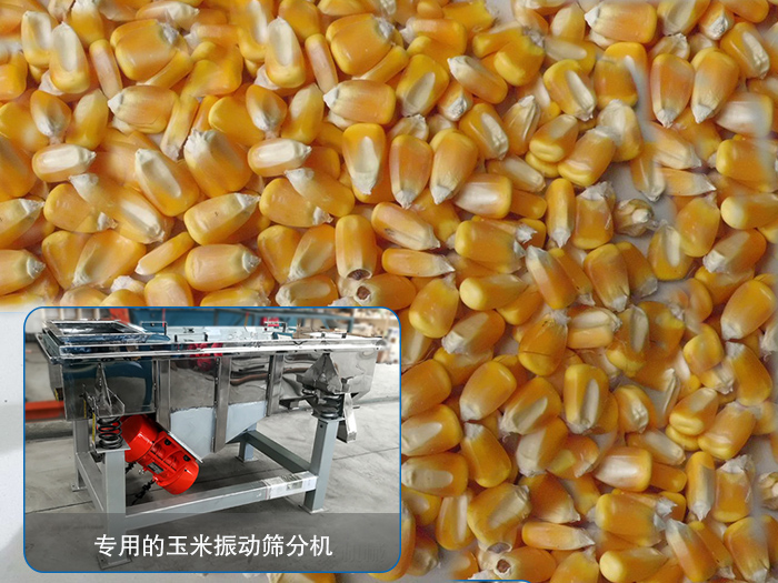 玉米泡芙APP短视频下载
